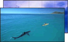 2019年，液晶拼接屏廠家如何贏來市場前景？